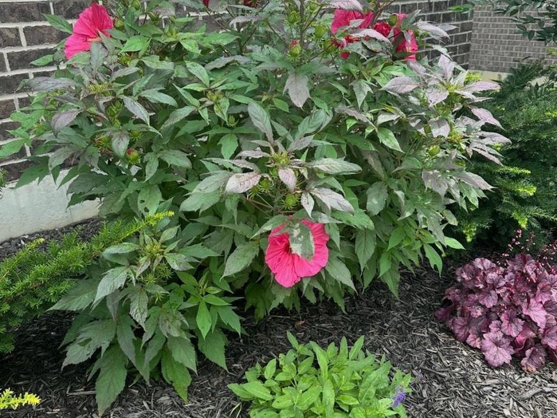 1160 Golf Club Drive, Turtle Creek Twp, OH 45036 Photo 49