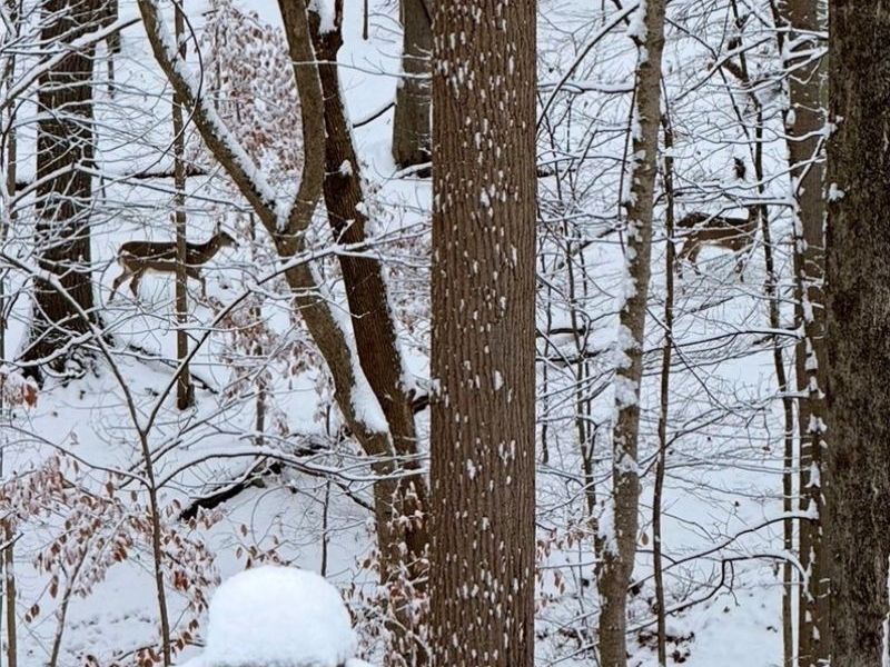 905 Center Court, Zanesville, OH 43701 Photo 22