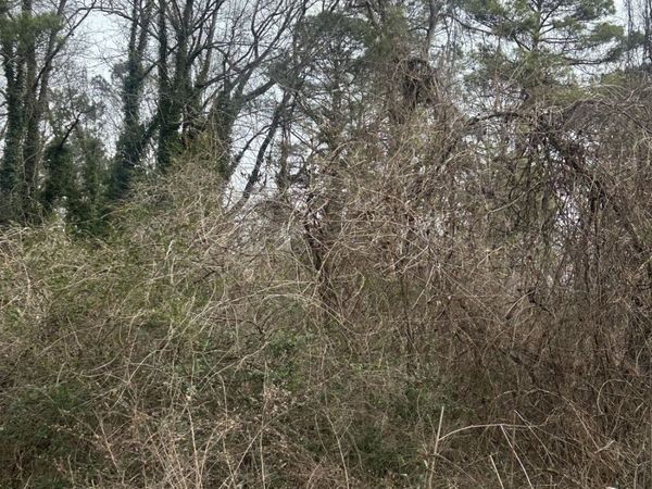 4581 White City Road, Atlanta, GA 30337