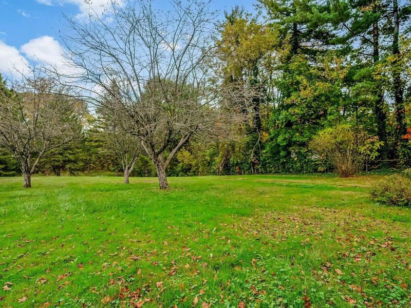 6550 KITZMILLER Road , New Albany, OH 43054 Photo 3