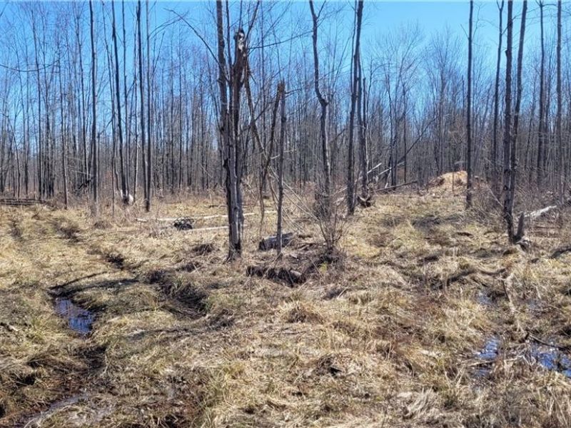 Clay Road, Jefferson, OH 44032 Photo 10