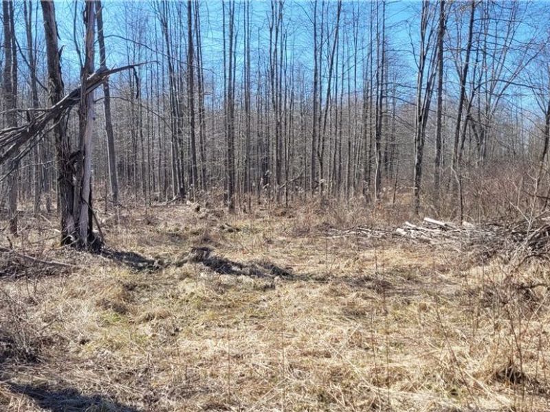 Clay Road, Jefferson, OH 44032 Photo 11