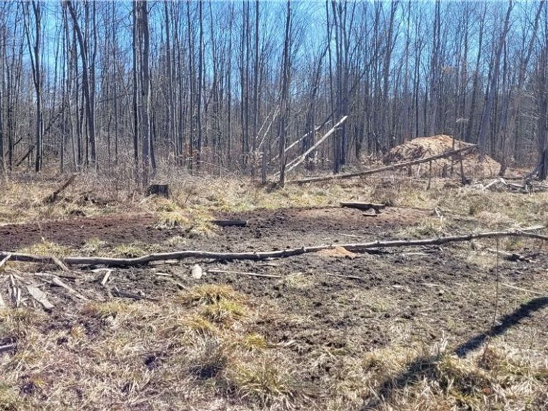 Clay Road, Jefferson, OH 44032 Photo 12