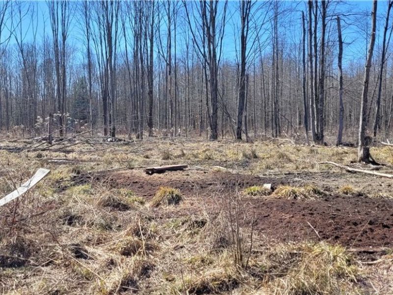 Clay Road, Jefferson, OH 44032 Photo 13