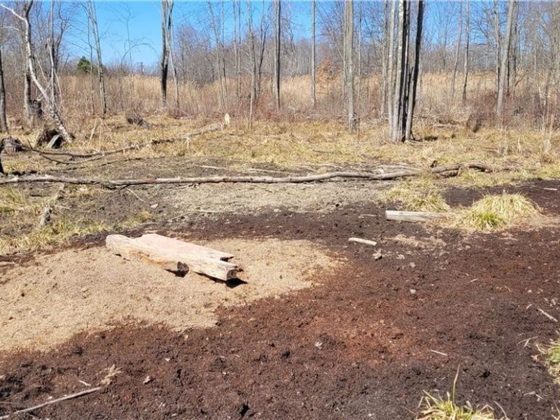 Clay Road, Jefferson, OH 44032 Photo 14