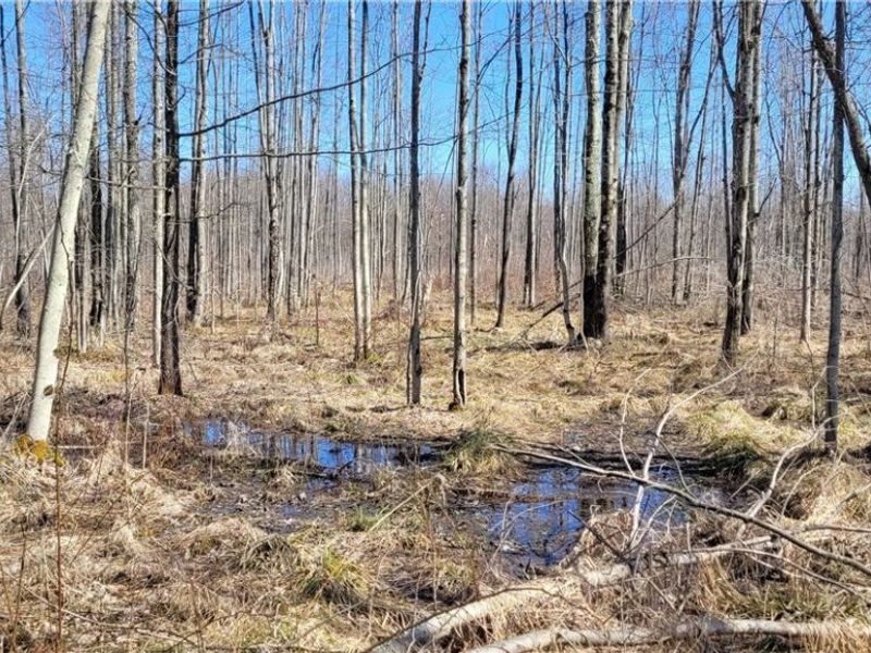 Clay Road, Jefferson, OH 44032 Photo 16