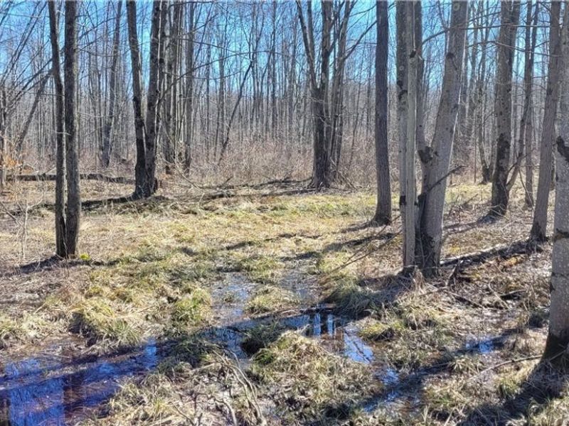 Clay Road, Jefferson, OH 44032 Photo 17