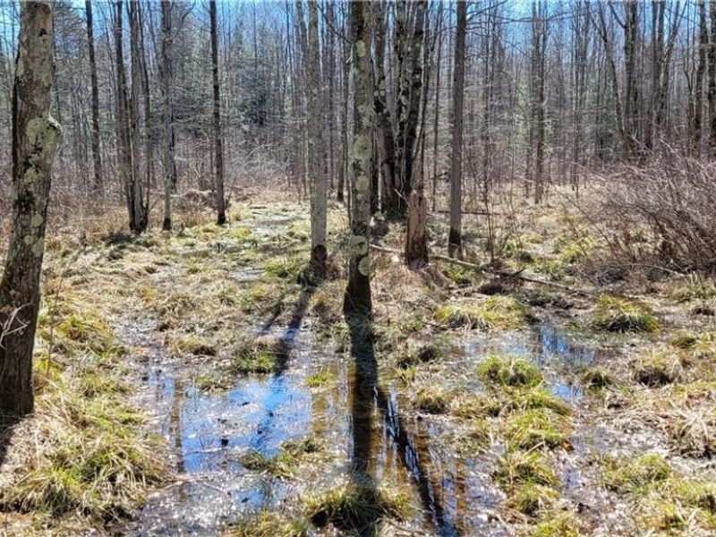 Clay Road, Jefferson, OH 44032 Photo 18