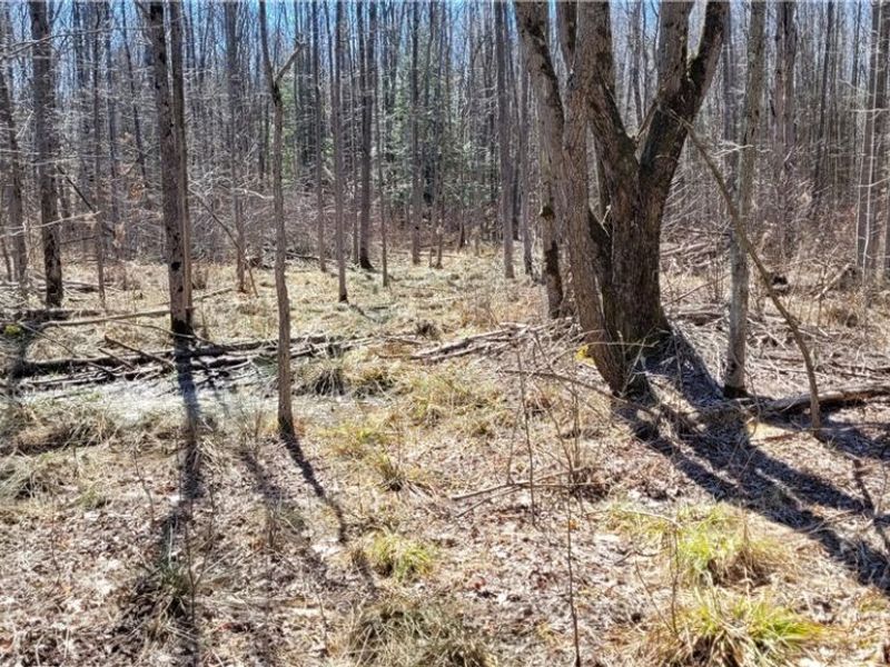 Clay Road, Jefferson, OH 44032 Photo 19