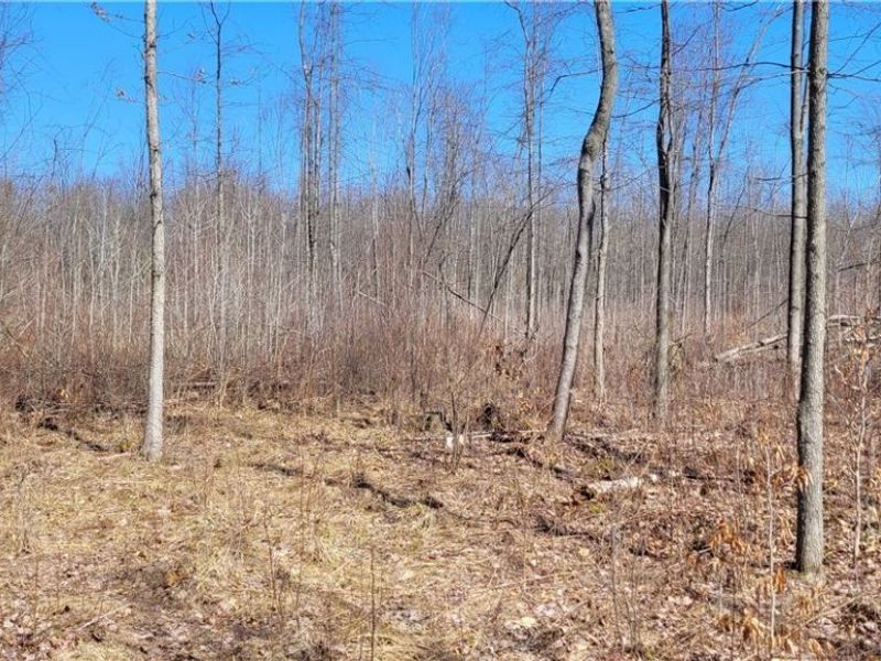 Clay Road, Jefferson, OH 44032 Photo 22