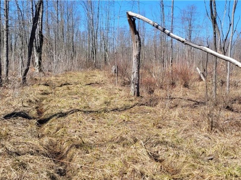 Clay Road, Jefferson, OH 44032 Photo 23