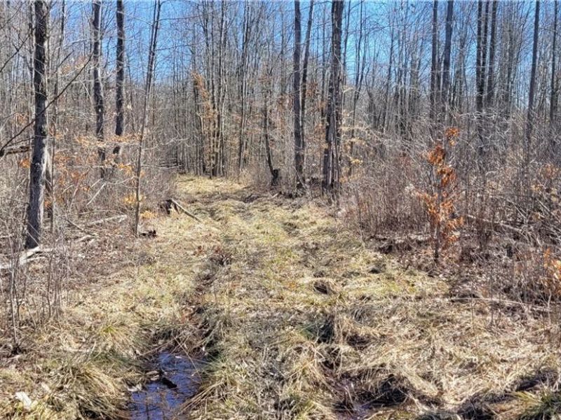 Clay Road, Jefferson, OH 44032 Photo 25