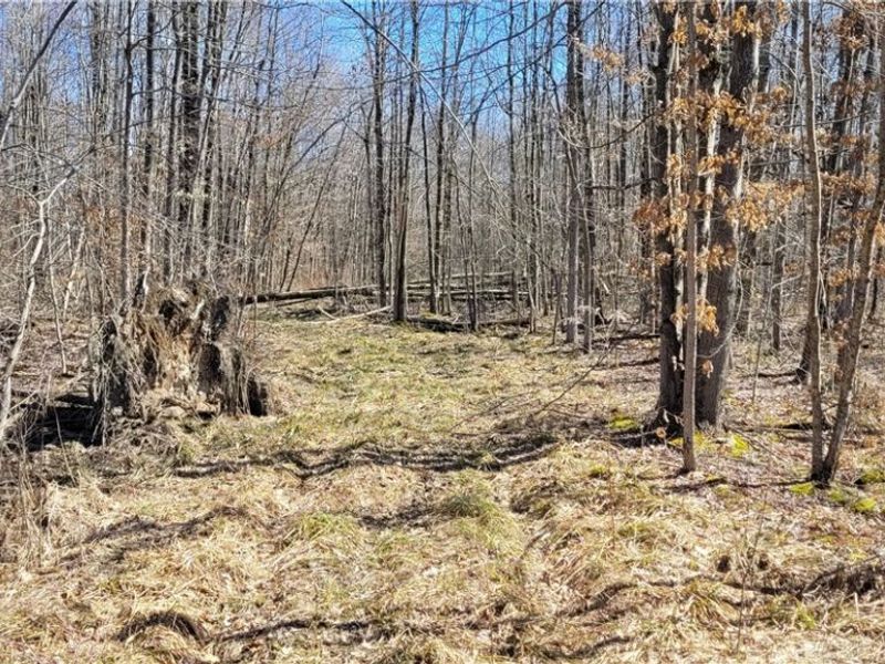 Clay Road, Jefferson, OH 44032 Photo 26