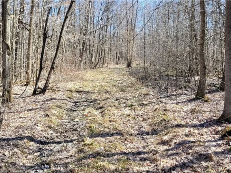 Clay Road, Jefferson, OH 44032 Photo 28