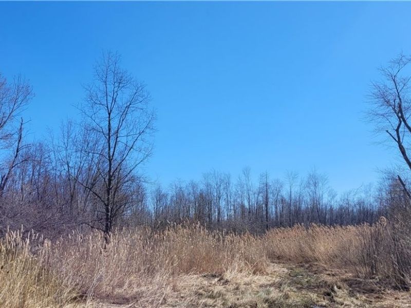 Clay Road, Jefferson, OH 44032 Photo 3