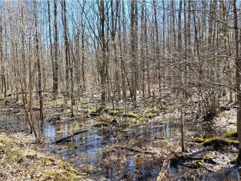 Clay Road, Jefferson, OH 44032 Photo 30