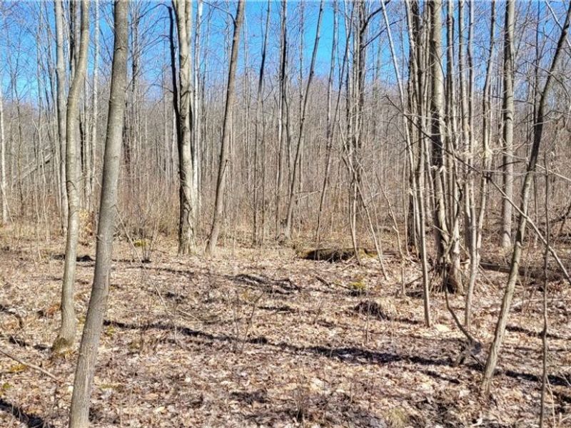 Clay Road, Jefferson, OH 44032 Photo 31