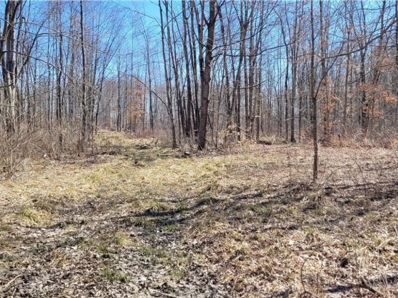 Clay Road, Jefferson, OH 44032 Photo 34