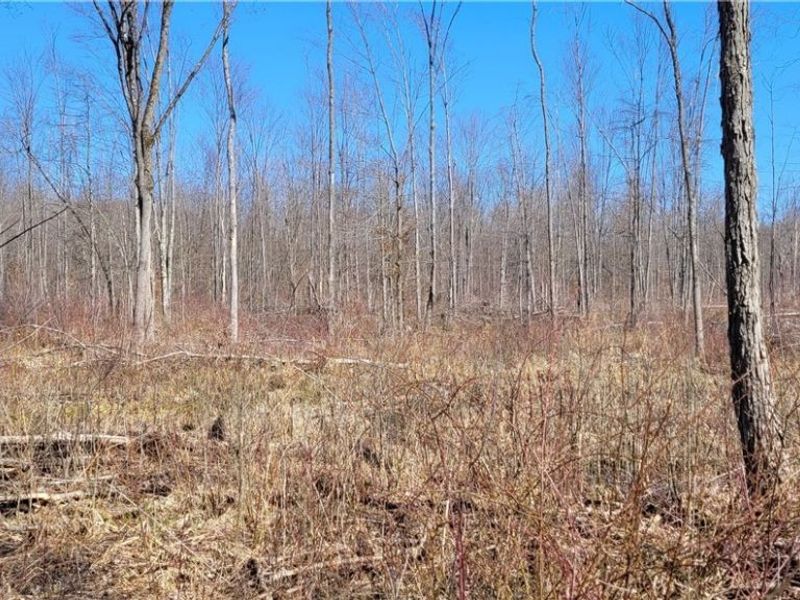 Clay Road, Jefferson, OH 44032 Photo 35