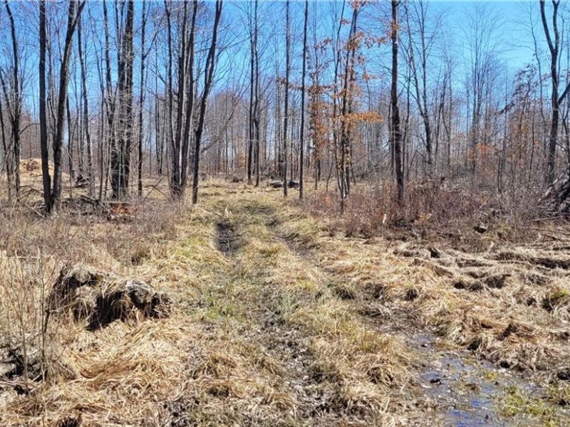 Clay Road, Jefferson, OH 44032 Photo 36