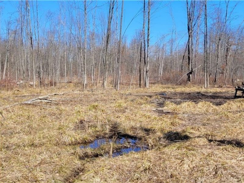 Clay Road, Jefferson, OH 44032 Photo 37