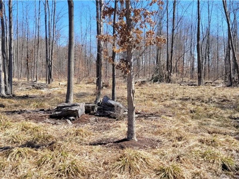 Clay Road, Jefferson, OH 44032 Photo 38