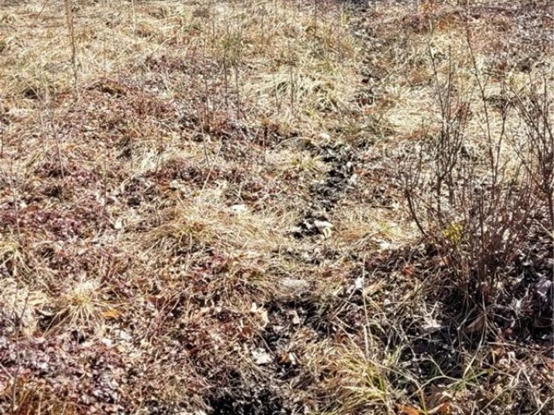 Clay Road, Jefferson, OH 44032 Photo 39