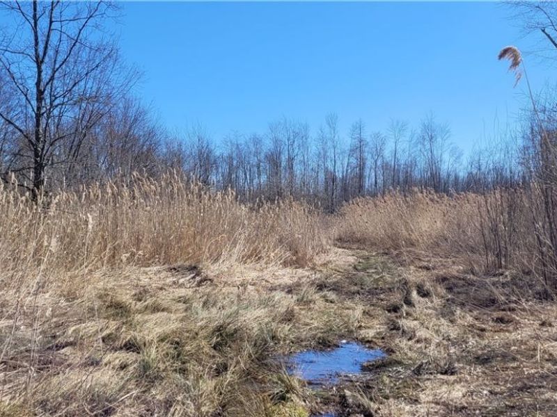 Clay Road, Jefferson, OH 44032 Photo 4