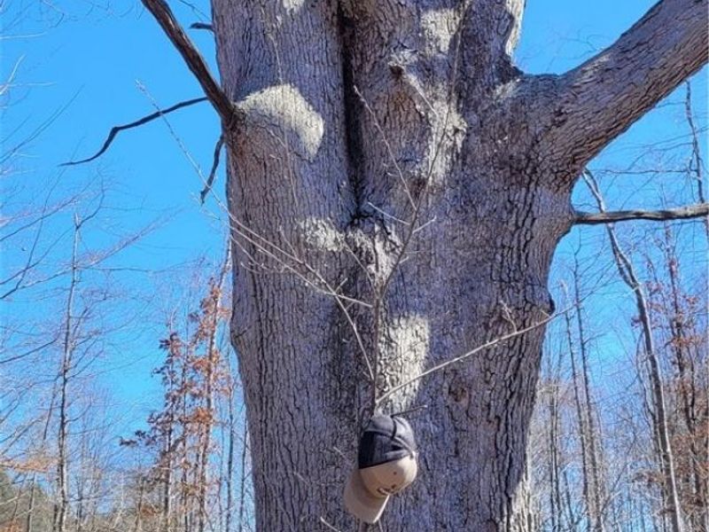 Clay Road, Jefferson, OH 44032 Photo 40