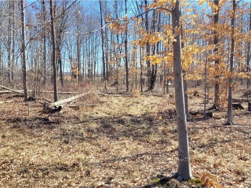 Clay Road, Jefferson, OH 44032 Photo 41