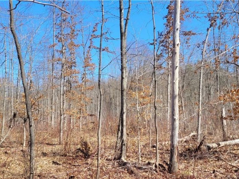 Clay Road, Jefferson, OH 44032 Photo 42