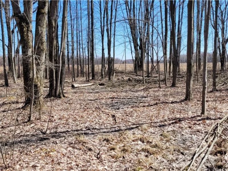 Clay Road, Jefferson, OH 44032 Photo 44