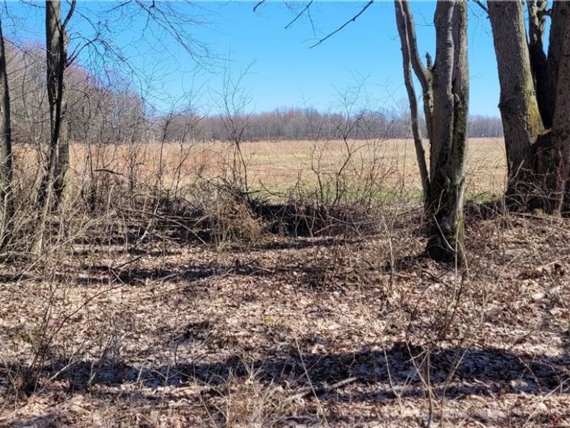 Clay Road, Jefferson, OH 44032 Photo 45