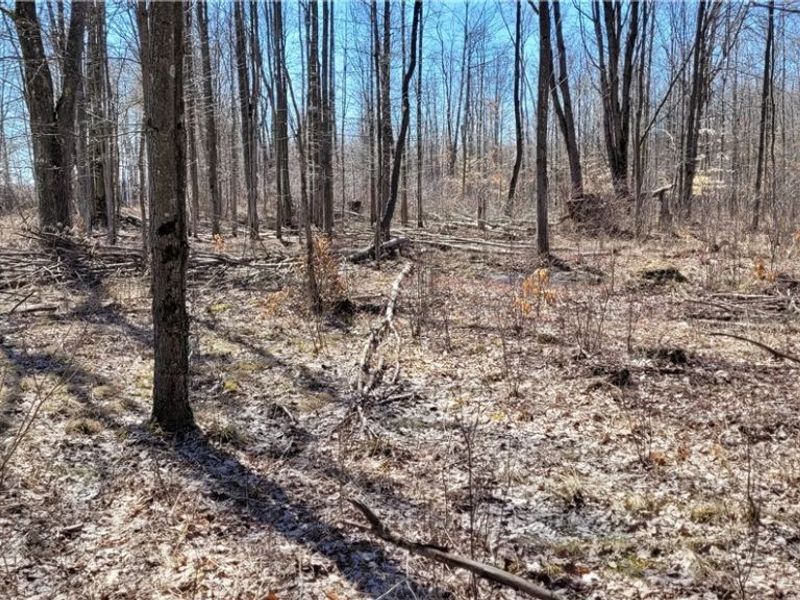 Clay Road, Jefferson, OH 44032 Photo 46