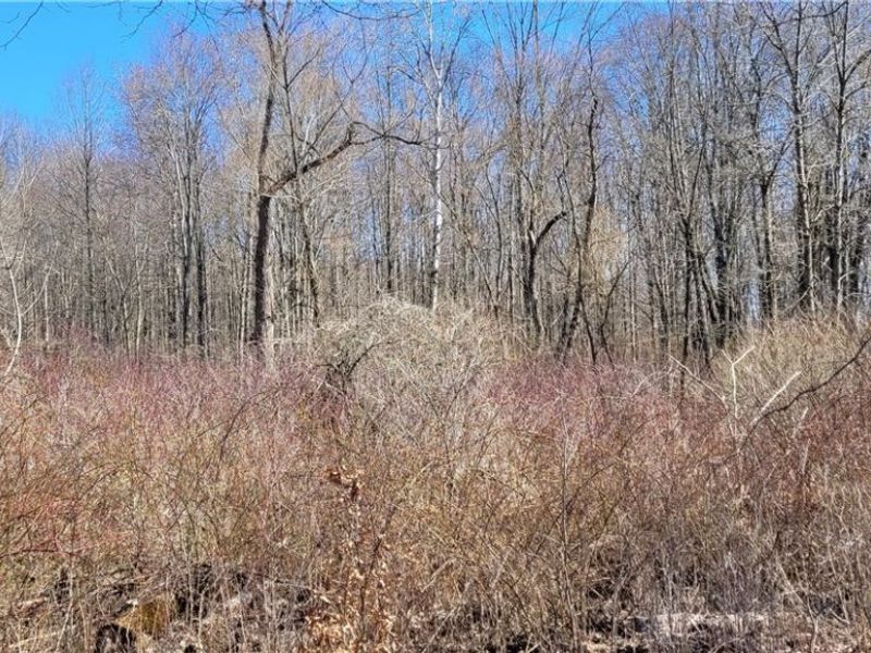 Clay Road, Jefferson, OH 44032 Photo 47