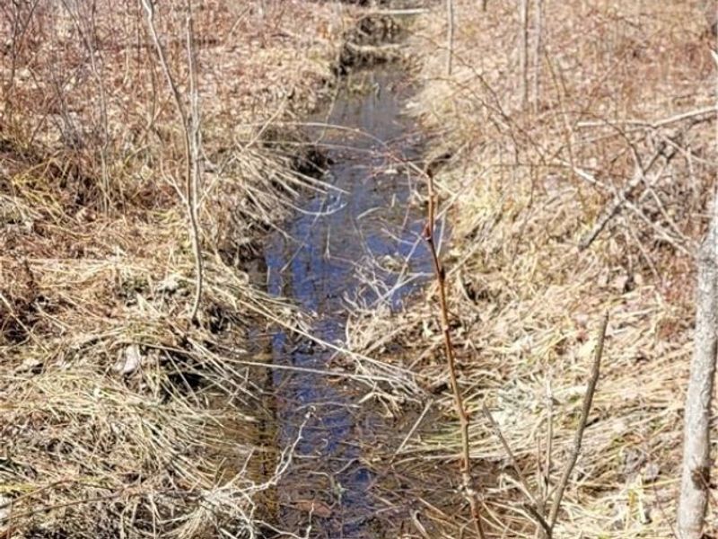 Clay Road, Jefferson, OH 44032 Photo 48