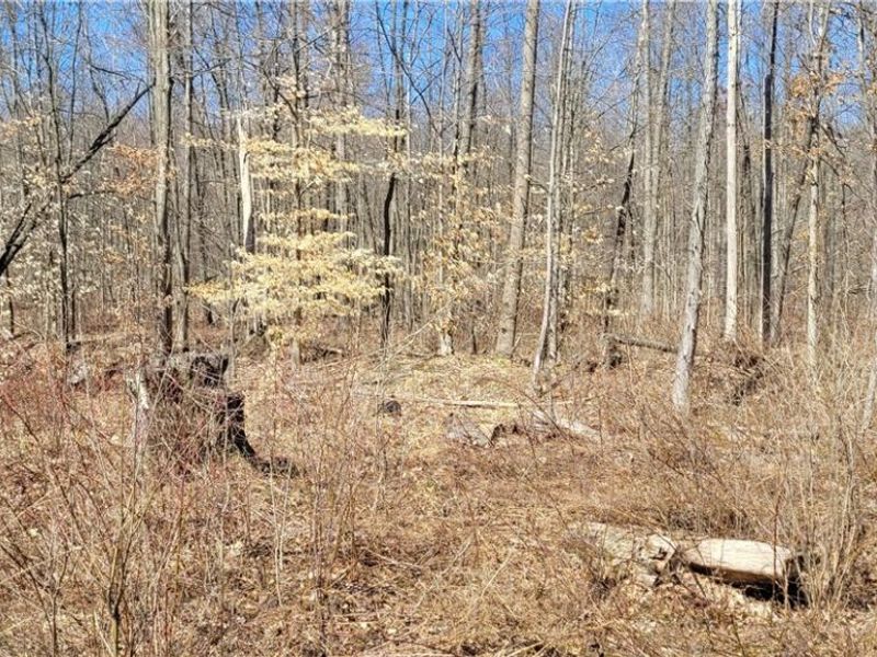 Clay Road, Jefferson, OH 44032 Photo 49