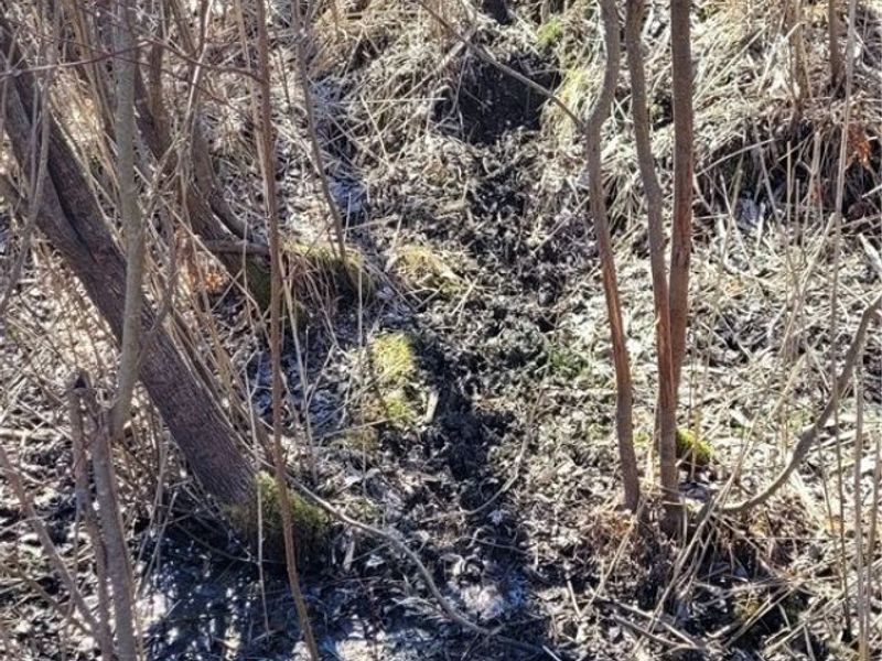 Clay Road, Jefferson, OH 44032 Photo 5