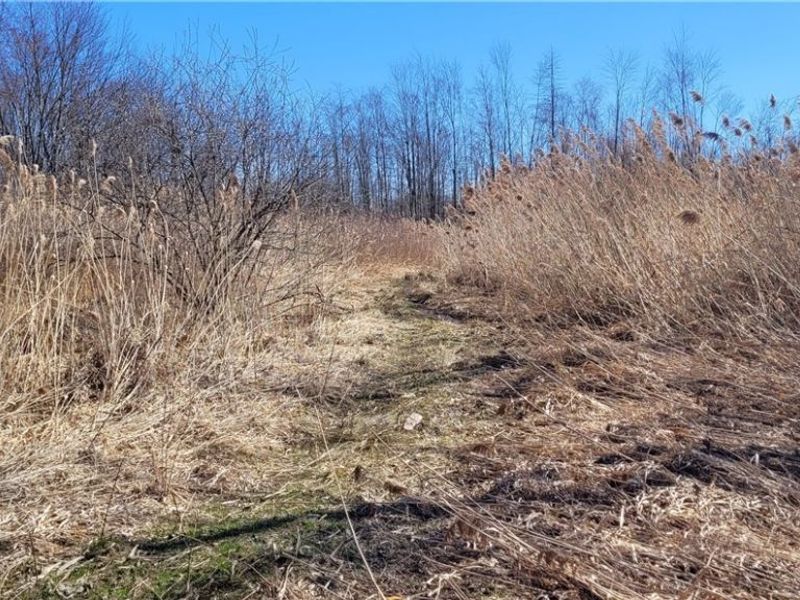 Clay Road, Jefferson, OH 44032 Photo 6