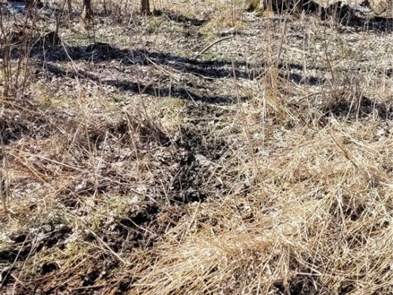 Clay Road, Jefferson, OH 44032 Photo 8