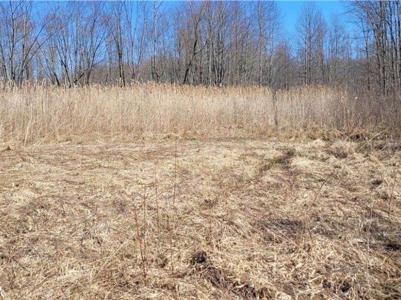 Clay Road, Jefferson, OH 44032 Photo 9