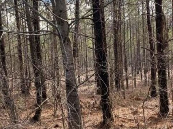 3 Thomas Springs Road, Crossville, TN 38572