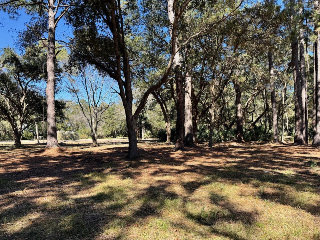 32 Marsh Aire Lane Photo 12