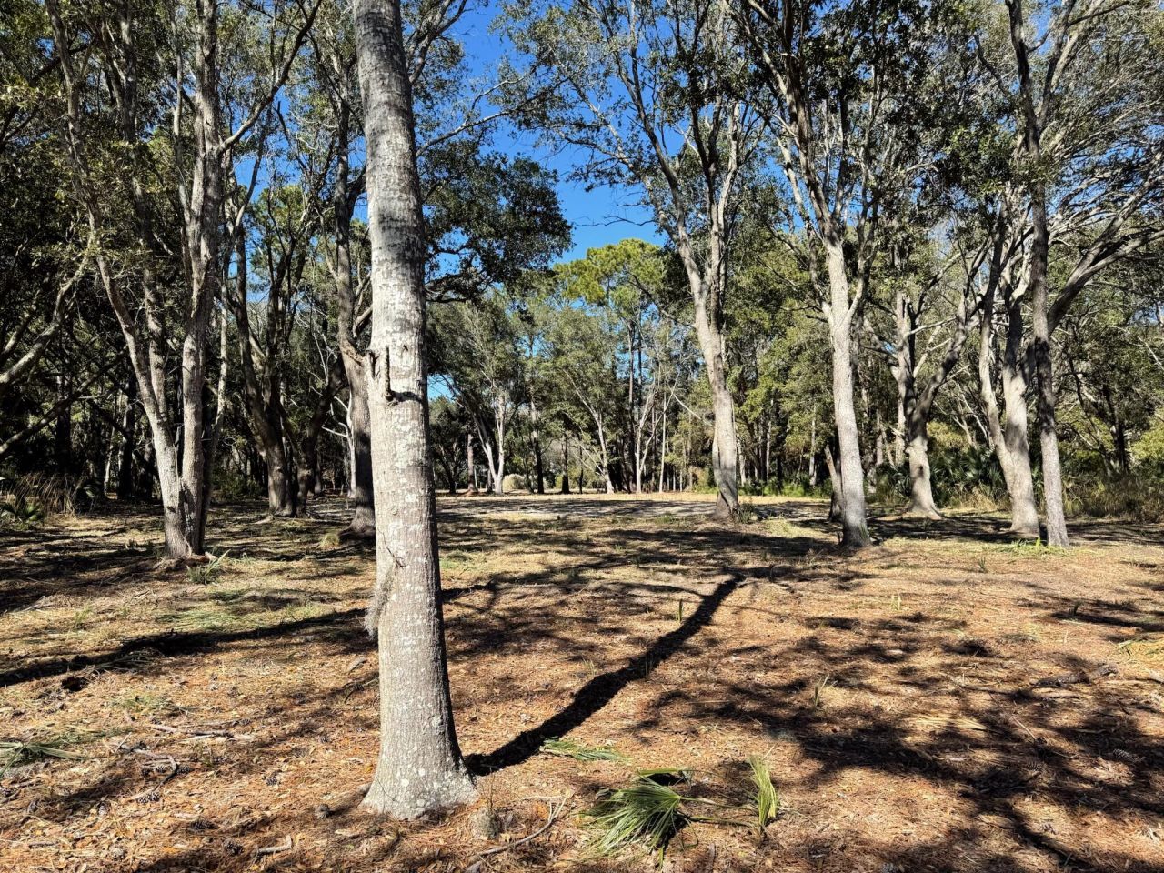 32 Marsh Aire Lane Photo 14