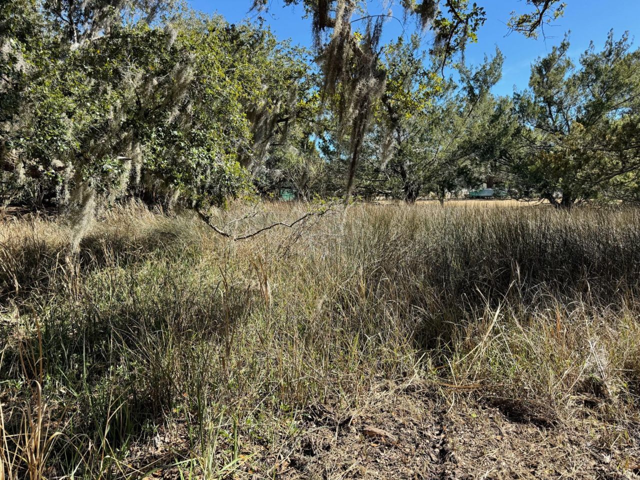 32 Marsh Aire Lane Photo 15