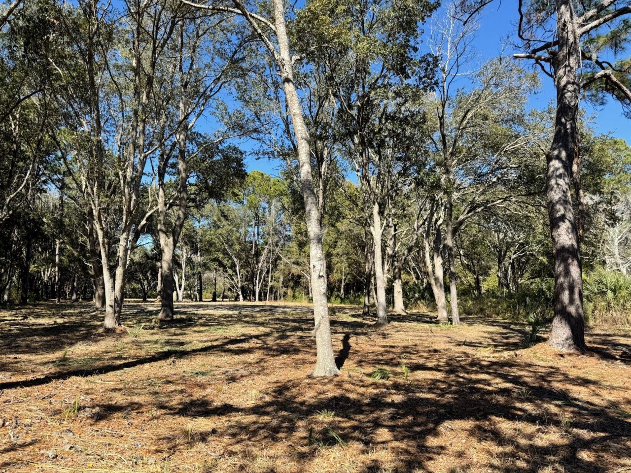 32 Marsh Aire Lane Photo 16