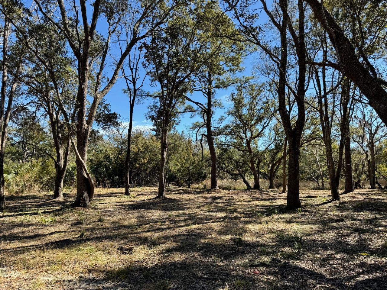 32 Marsh Aire Lane Photo 18