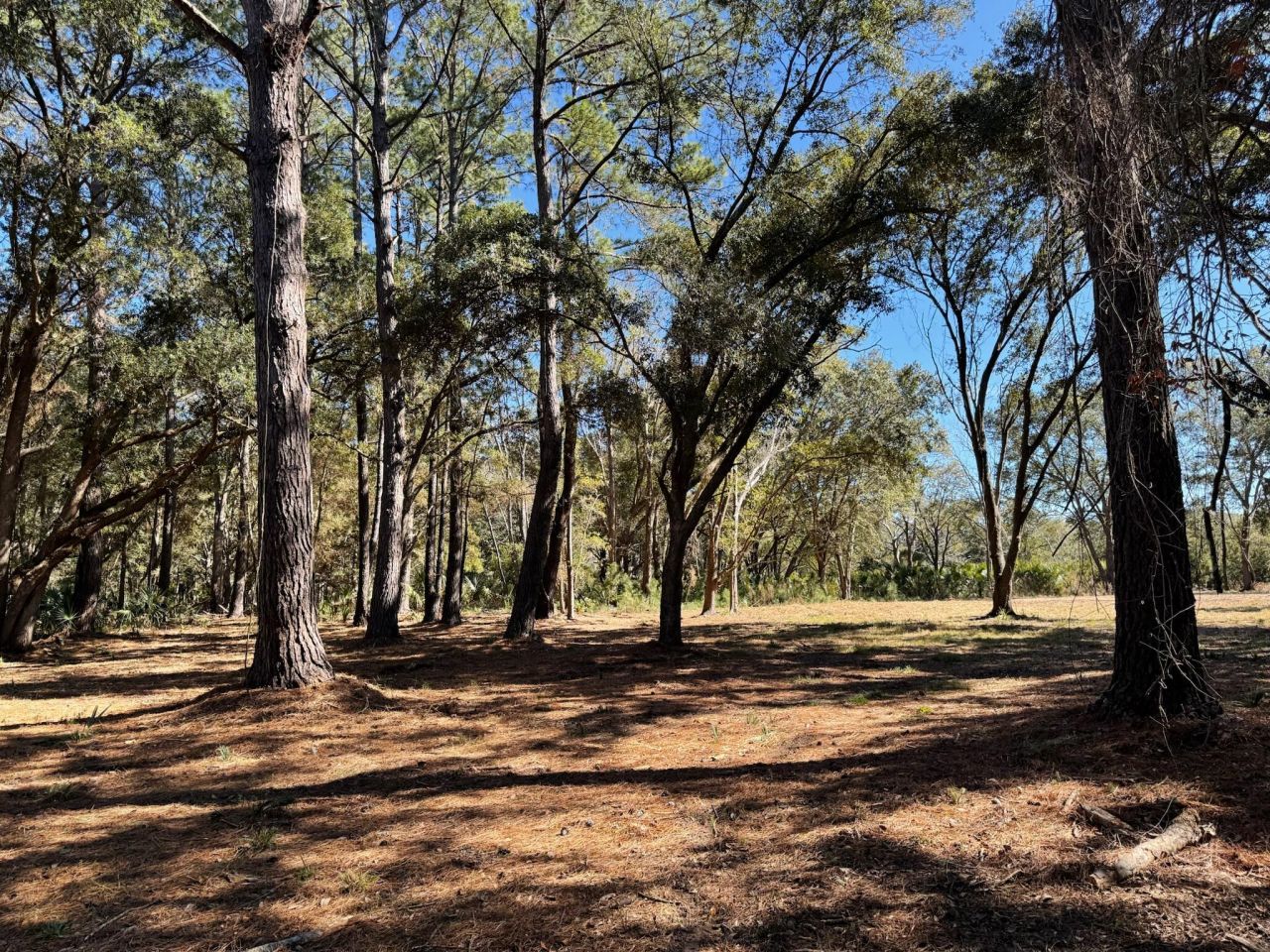 32 Marsh Aire Lane Photo 2