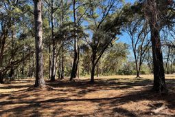 32 Marsh Aire Lane photo 4