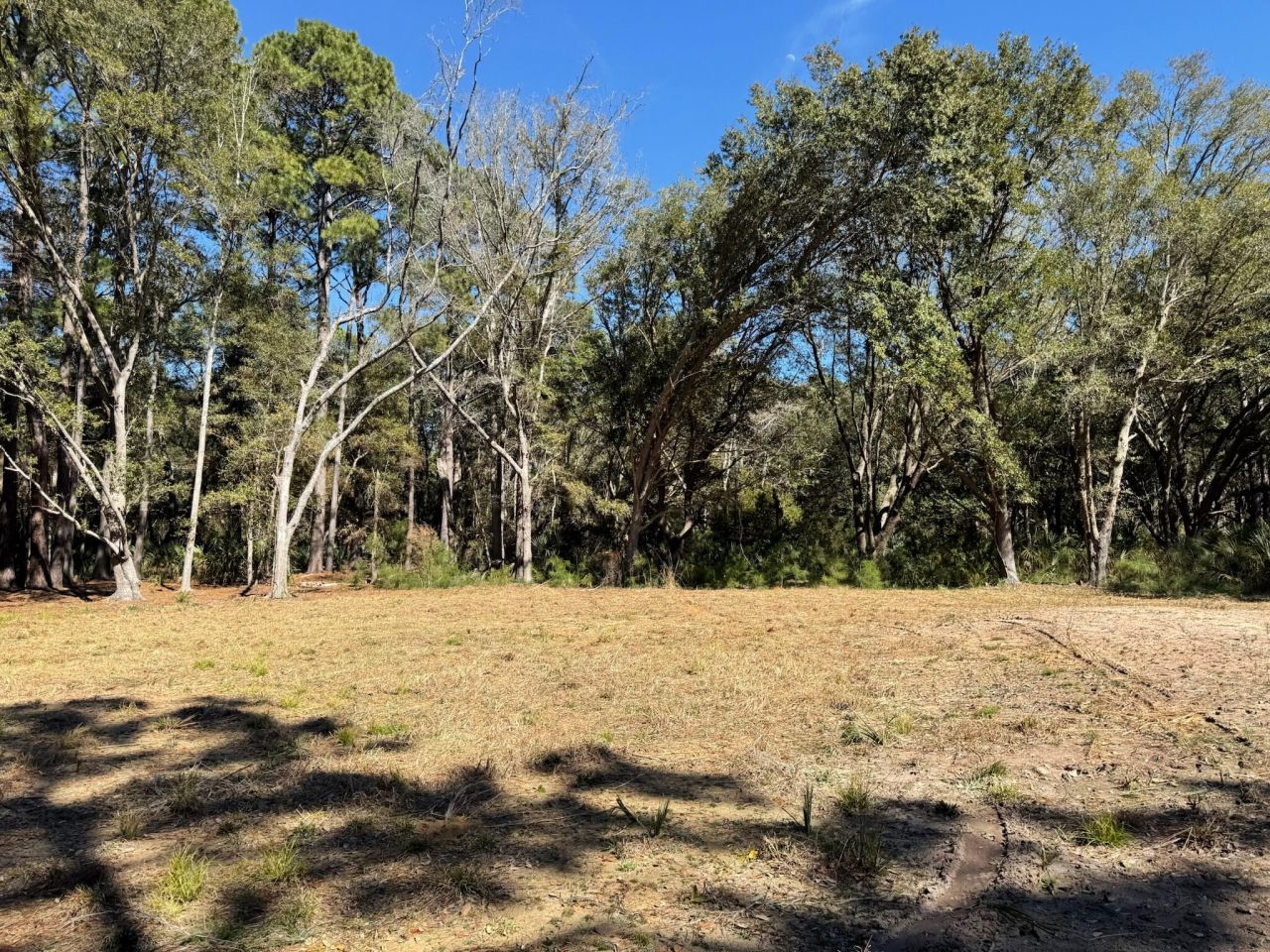 32 Marsh Aire Lane Photo 20